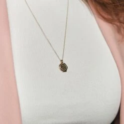 Ad Astra Seal Locket Necklace