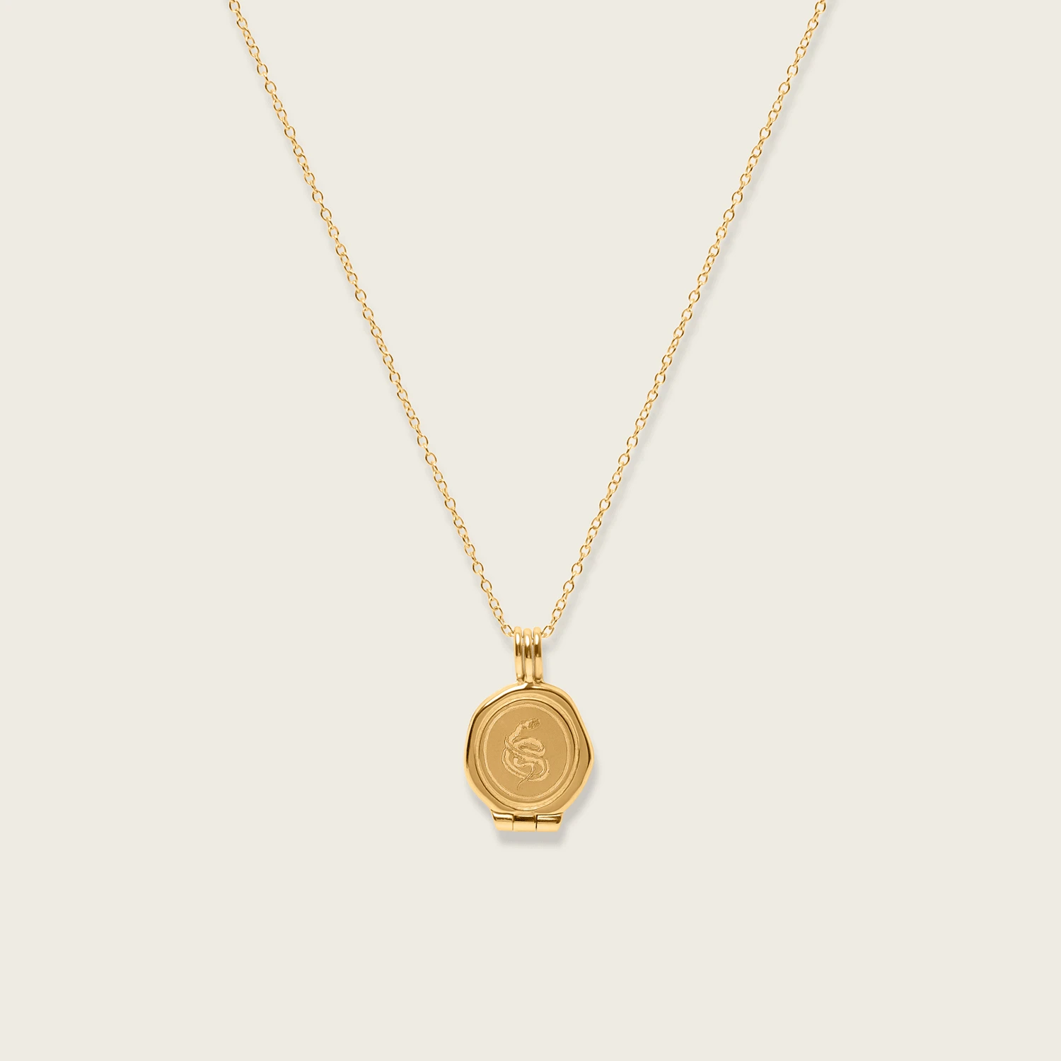 Ad Astra Seal Locket Necklace 9 Ad Astra Seal Locket Necklace - Image 9