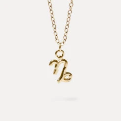 Zodiac Charm Necklace | 14k Gold -STILNEST Jewelry Sales Capricorn Charm Anchor 14k