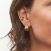 Eden Pear Hoop Earrings | 14k Gold