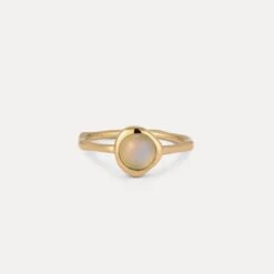 Zodiac Birthstone Ring | 14k Gold - Glossy 26 Zodiac Birthstone Ring | 14k Gold - Glossy -STILNEST Jewelry Sales Pisces sn 10048152 72 g Still Front Up