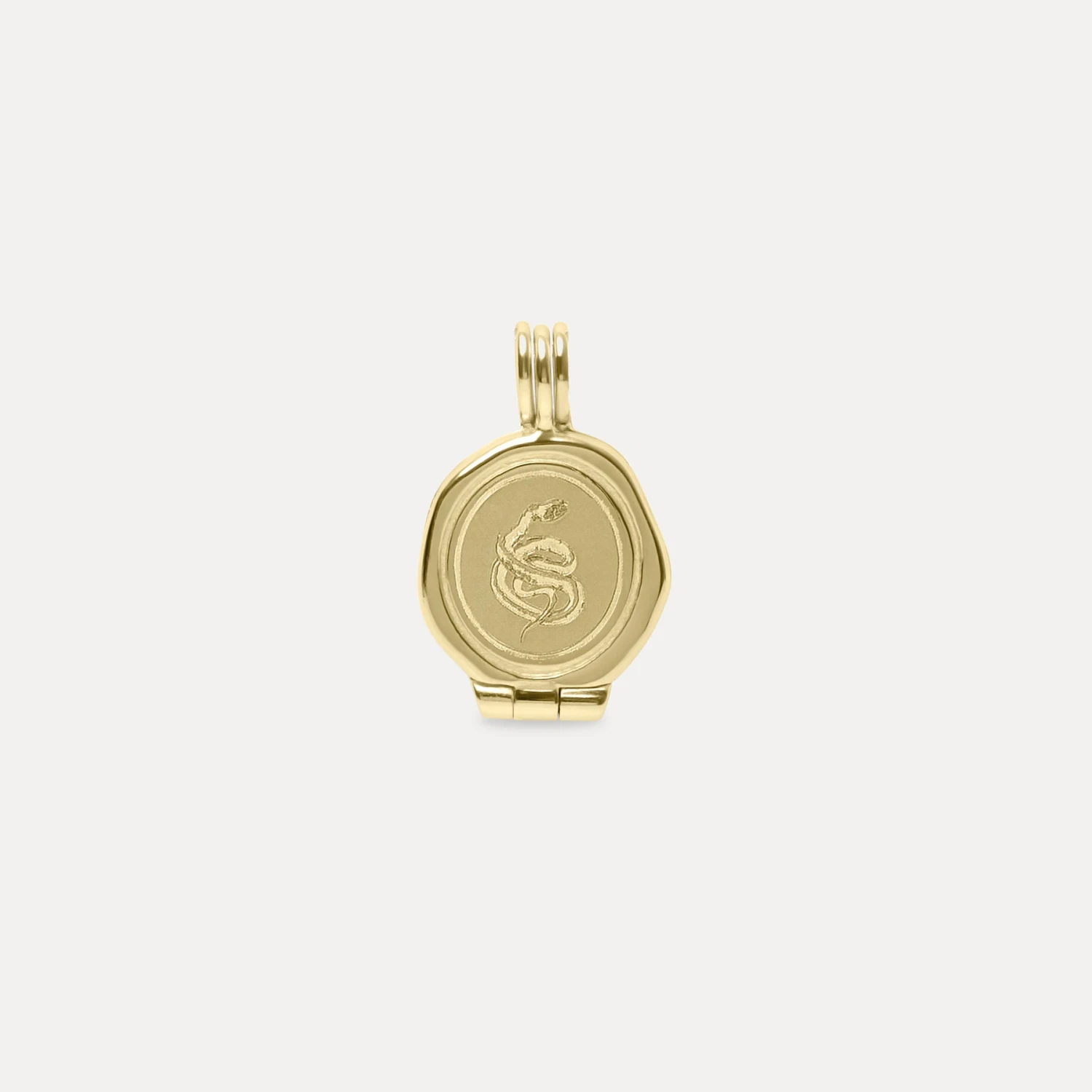 Snake Seal Locket Necklace | 14k Gold 4 Snake Seal Locket Necklace | 14k Gold - Image 4
