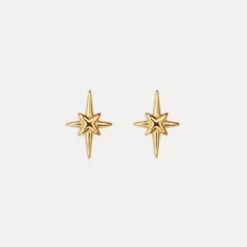 Star Light Stud Earrings