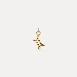 Zodiac Charm Pendant | 14k Gold -STILNEST Jewelry Sales Zodiac Charm Anhanger gemini 01 14k