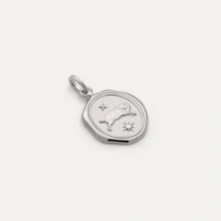 Zodiac Seal Pendant 37 Zodiac Seal Pendant -STILNEST Jewelry Sales Zodiac Aries Silver 4