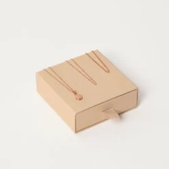 #4 Surprise Capsule - Necklaces 5 #4 Surprise Capsule - Necklaces -STILNEST Jewelry Sales surprise capsule box Chains rose